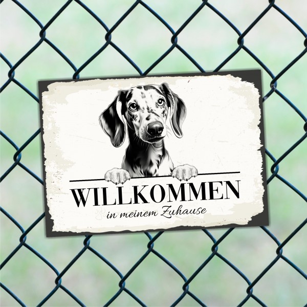 SchildWillk_Dackel7b