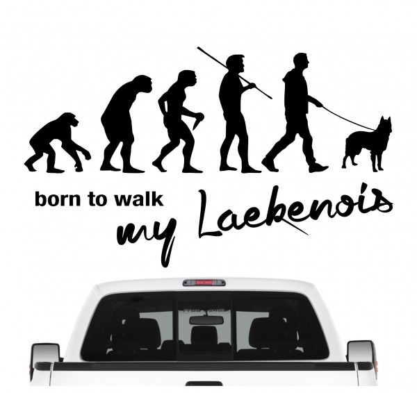 Laekenois Belgischer Schäferhund Berger Belge Evolution Born to Walk Hunde Aufkleber Sticker Autoaufkleber Wandtattoo Tattoo