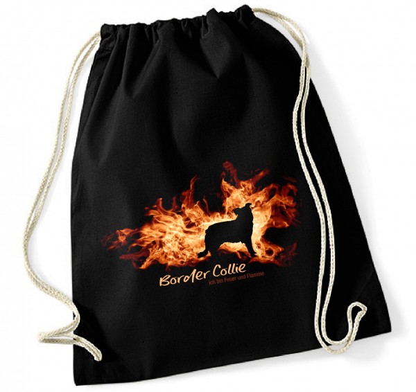 BAGFlamme_BorderCollie