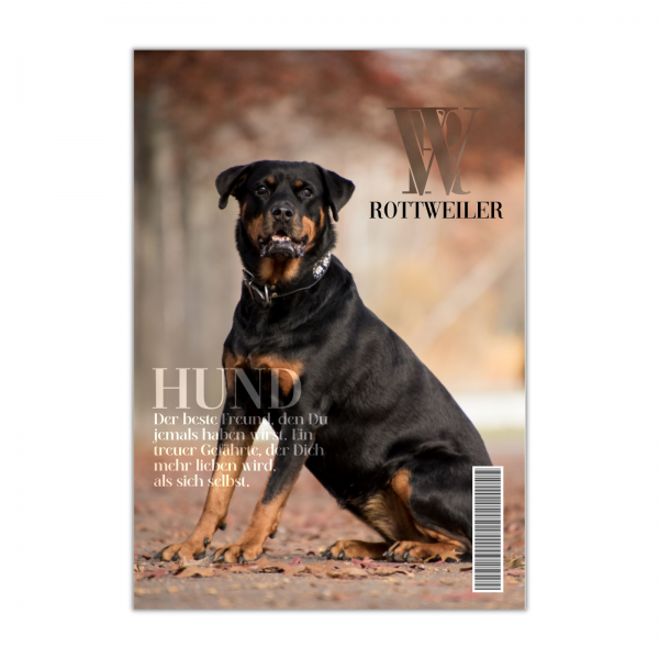 SchildMagazin_Rottweiler1