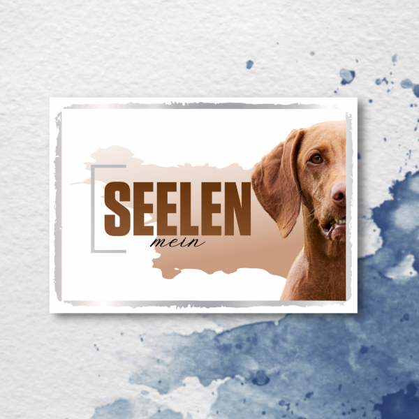 SeeleD_MagyarVizsla2