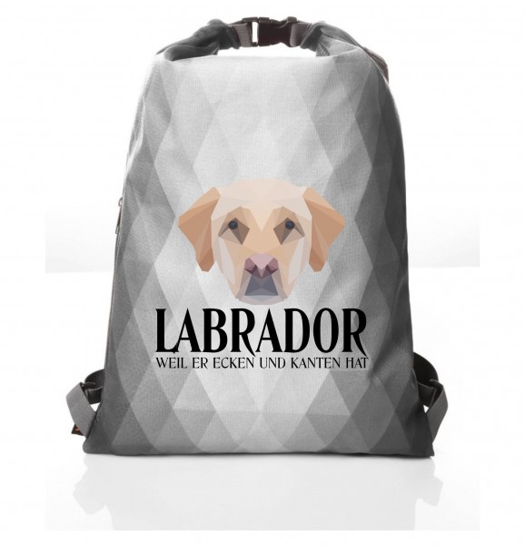 PBAGPoly_Labrador