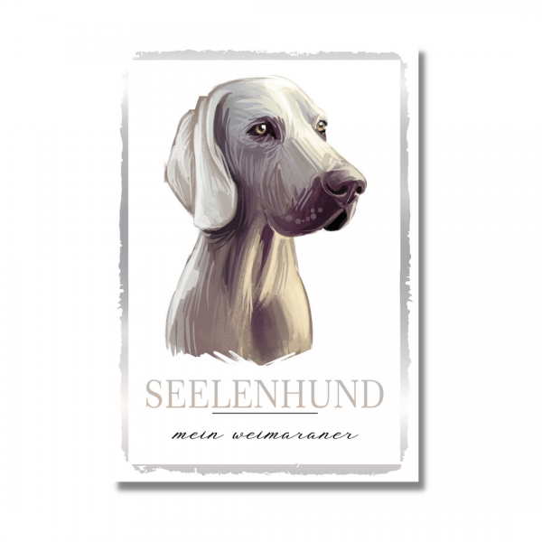 SeeleW_Weimaraner1