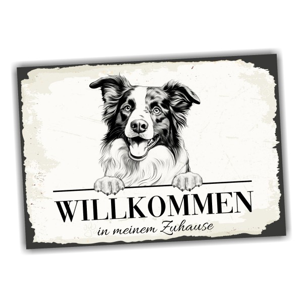 Hundeschild Willkommen Zuhause Border Collie Schild