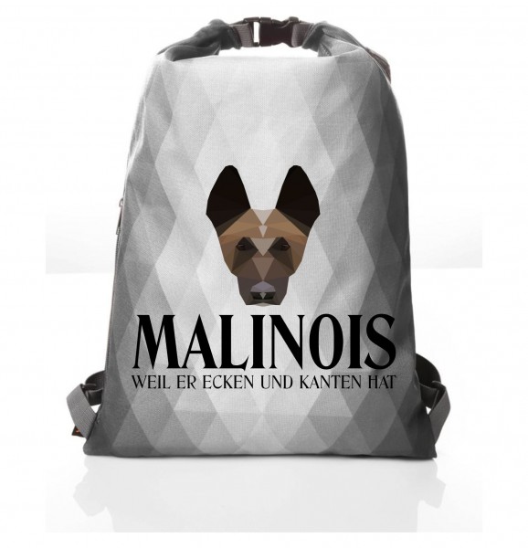 PBAGPoly_Malinois