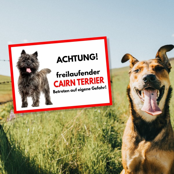 SchildFrei_CairnTerrier1