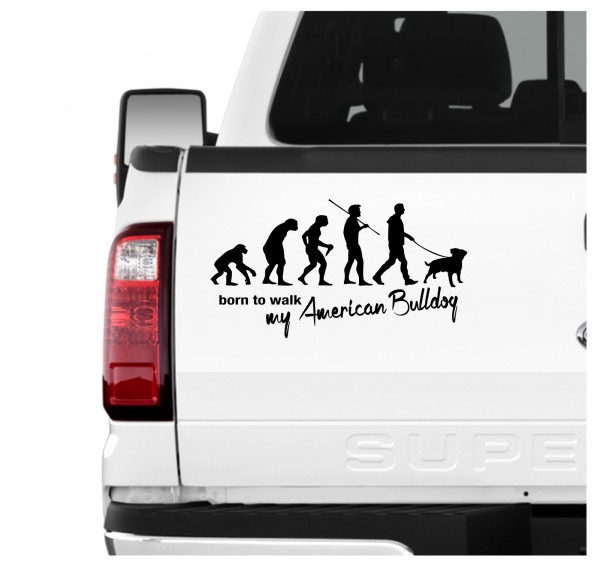 American Bulldog Amerikanische Bulldogge USA Old Country Bulldog Evolution Born to Walk Hunde Aufkleber Sticker Autoaufkleber Wandtattoo Tattoo