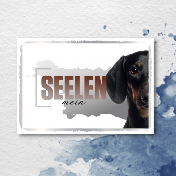 SeeleD_Dackel2