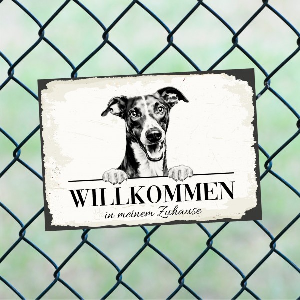 Hundeschild Willkommen Zuhause Greyhound Windhund Schild Achtung Spruch