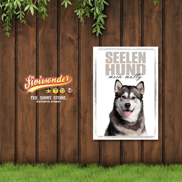 SeeleR_AlaskMalamute2