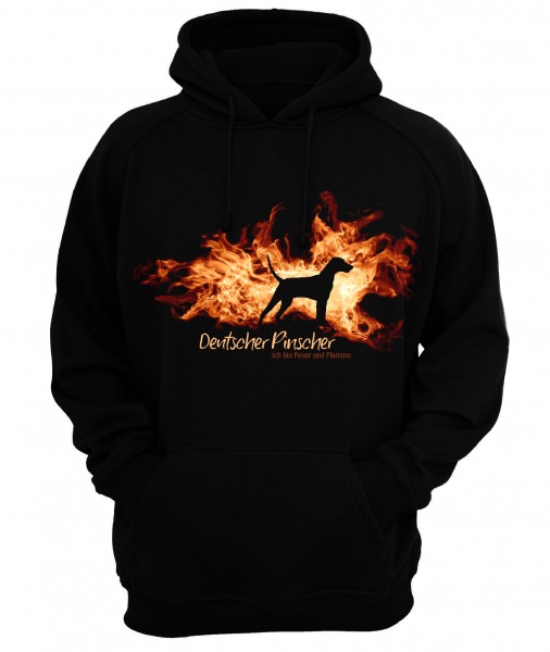 SFlamme_DeuPinscher5c78f6d81672a