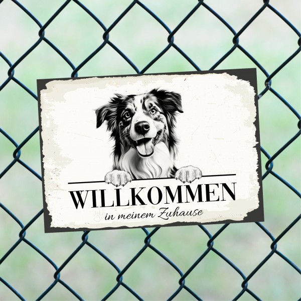 Hundeschild Willkommen Zuhause Mini Australian Shepherd Schild Achtung Spruch