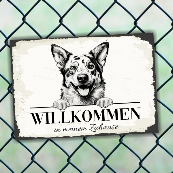 Hundeschild Willkommen Zuhause Australian Cattle Dog Schild