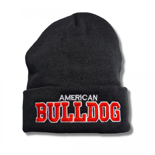 ExBeanie_AmerBulldog