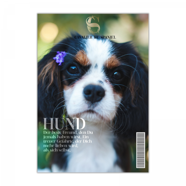 SchildMagazin_CavalierKCSpaniel1