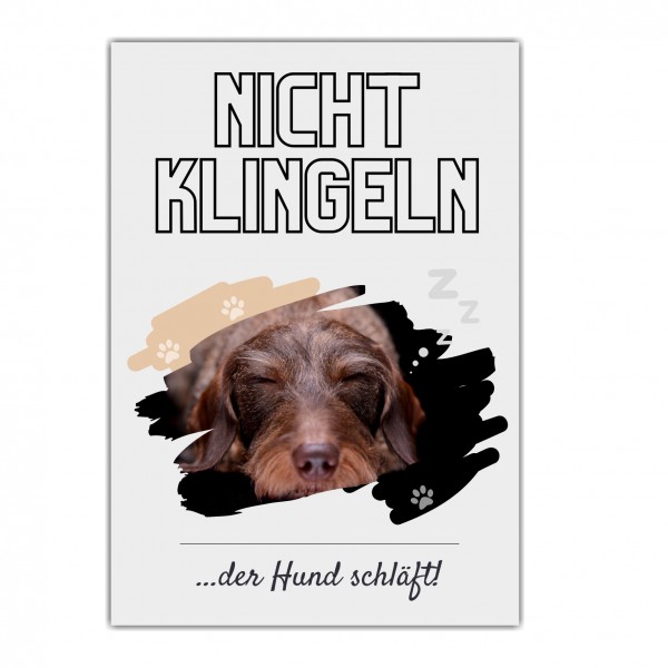 Rauhaardackel Dackel Teckel Dachshund Rauhhaardackel Hund nicht klingeln schlafen Schild Dog Hund Spruch Türschild Hundeschild Wall Art Gefährte