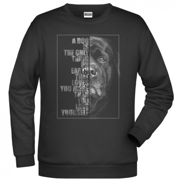 Labrador Sweatshirt Pullover Face Hundemotiv Retriever Labby Labbie Lab