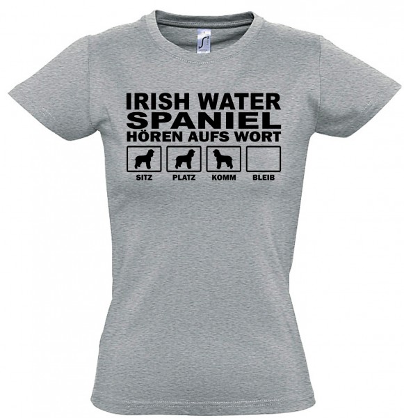 WTHAWIrishWaterSpanSG