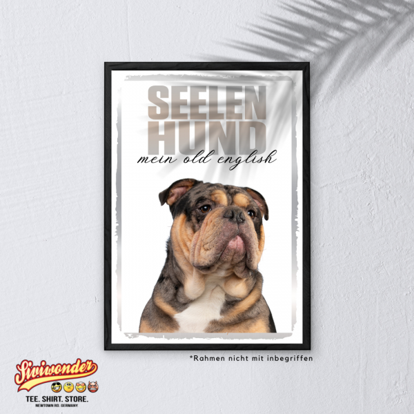 SeeleR_OldEngBulldog2_3