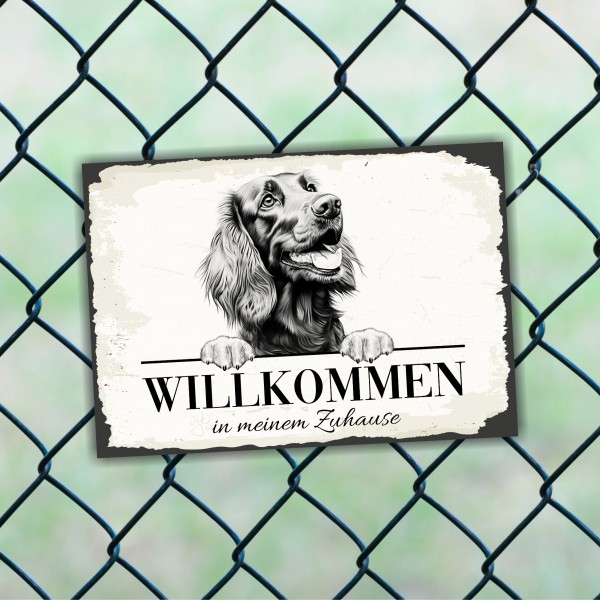 Hundeschild Willkommen Zuhause Irish Setter Schild Achtung