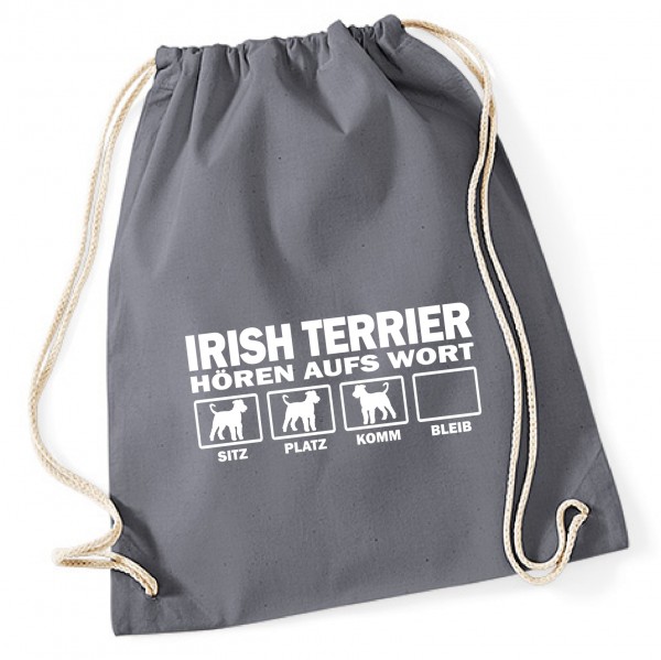 BAGHAWIrishTerrierDG