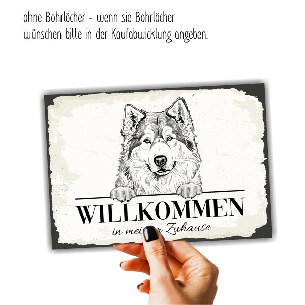 SchildWillk_AlaskaMal1b