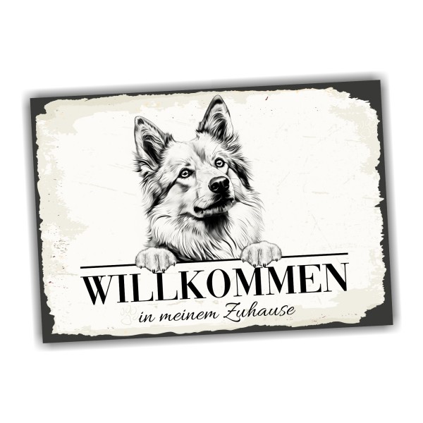 Hundeschild Willkommen Zuhause Islandhund Spitz Schild
