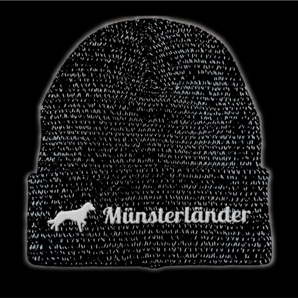 RefBeane_M-nsterl-nder2