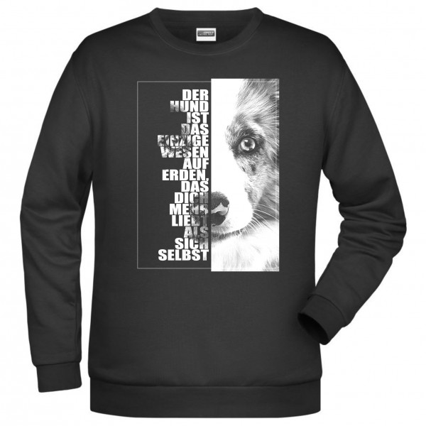 Border Collie Sweatshirt Pullover Face Hundemotiv Sheepdog Scotch Sheep Dog Schwarz