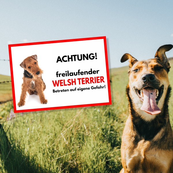 SchildFrei_WelshTerrier1
