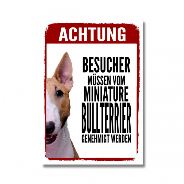 Genehmigung_MiniBullterrier1