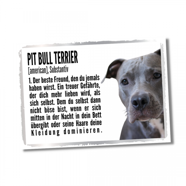 Duden_PitBull1