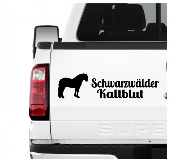 A3erPF_SchwarzwKaltblut1