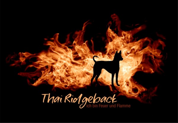 UTFlamme_ThaiRidgeMo