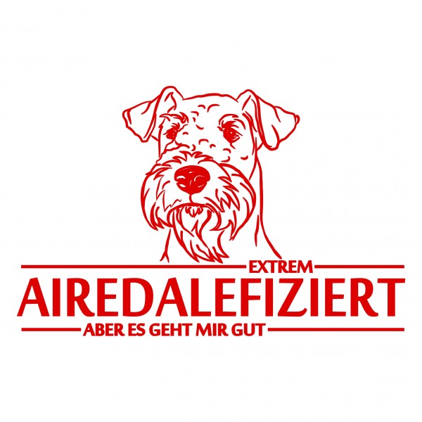 A_Infi_AiredaleTerrierR