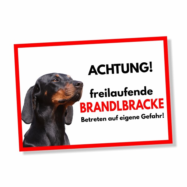 SchildFrei_Brandlbracke