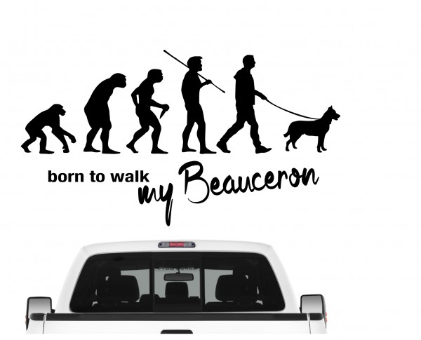 Beauceron Schäferhund Französischer Berger de Beauce Evolution Born to Walk Hunde Aufkleber Sticker Autoaufkleber Wandtattoo Tattoo