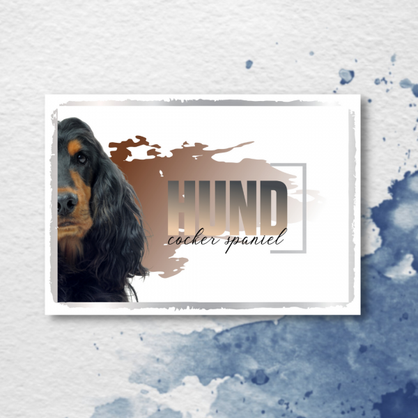 SeeleD_CockerSpaniel3