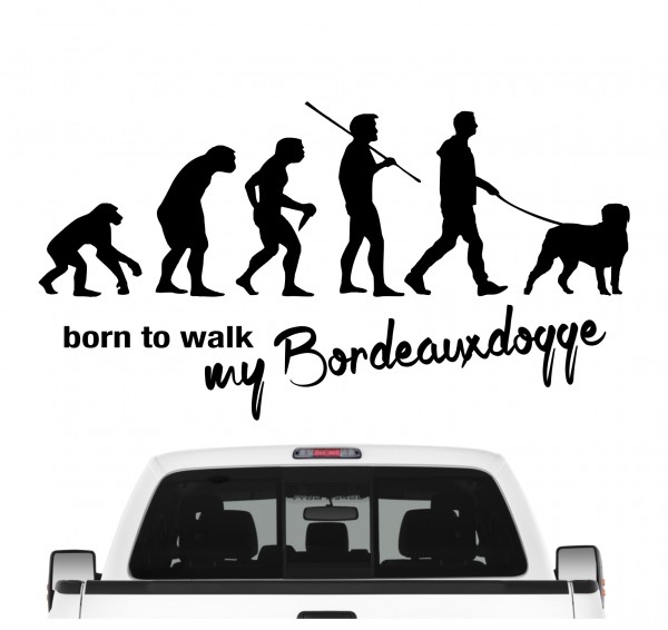 Bordeauxdogge Dogue de Bordeaux Mastiff Bordeauxdog Evolution Born to Walk Hunde Aufkleber Sticker Autoaufkleber Wandtattoo Tattoo