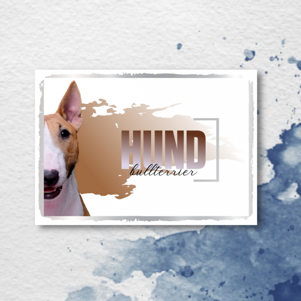 SeeleD_MiniBullterrier3