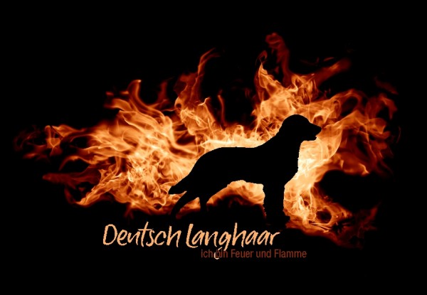 UTFlamme_DeutLanghaarMo