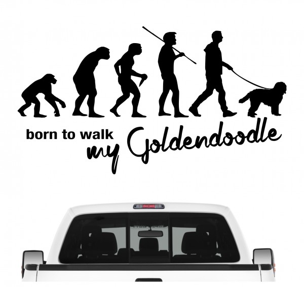 Goldendoodle Doodle Goldie Golden Retriever Pudel Mix Mischling Evolution Born to Walk Hunde Aufkleber Sticker Autoaufkleber Wandtattoo Tattoo