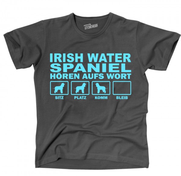 UTHAWIrishWaterSpanDG