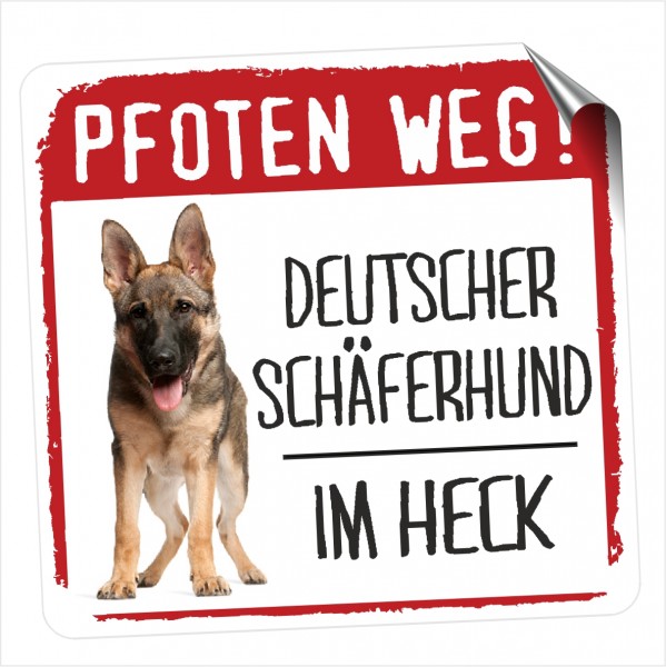 A_SCHAEFERHUND_PFOTEN_WEG