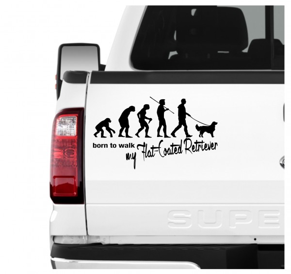 Flat Coated Retriever Flattie Flatcoat der Glatthaarige Retriever Flatte Evolution Born to Walk Hunde Aufkleber Sticker Autoaufkleber Wandtattoo Tattoo