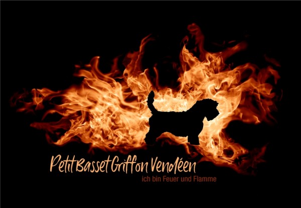 UTFlamme_PetBassGriVenMo