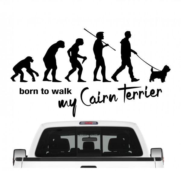Cairn Terrier Kern Evolution Born to Walk Hunde Aufkleber Sticker Autoaufkleber Wandtattoo Tattoo