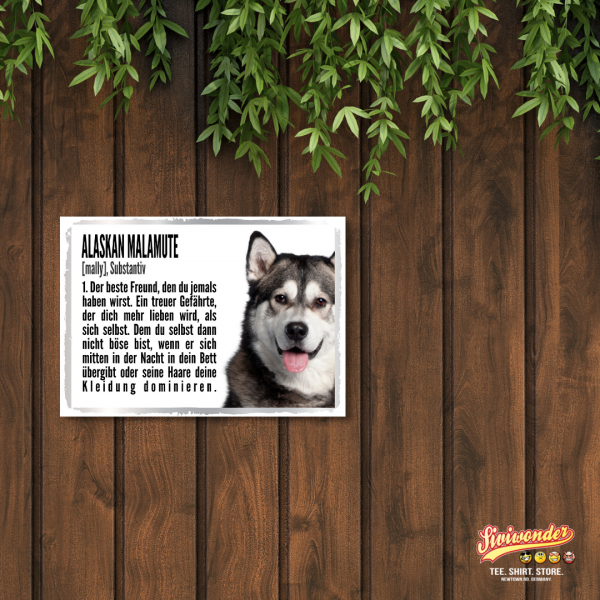 Duden_AlaskMalamute2