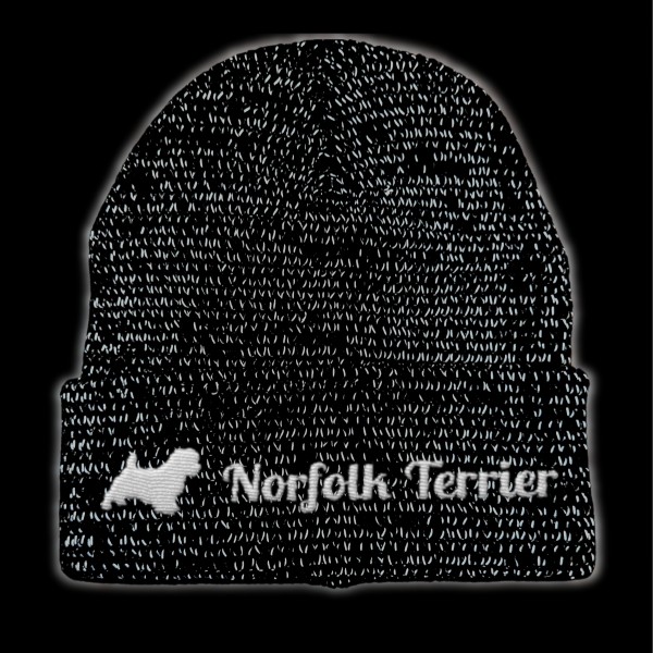 RefBeane_NorfolkTerrier2