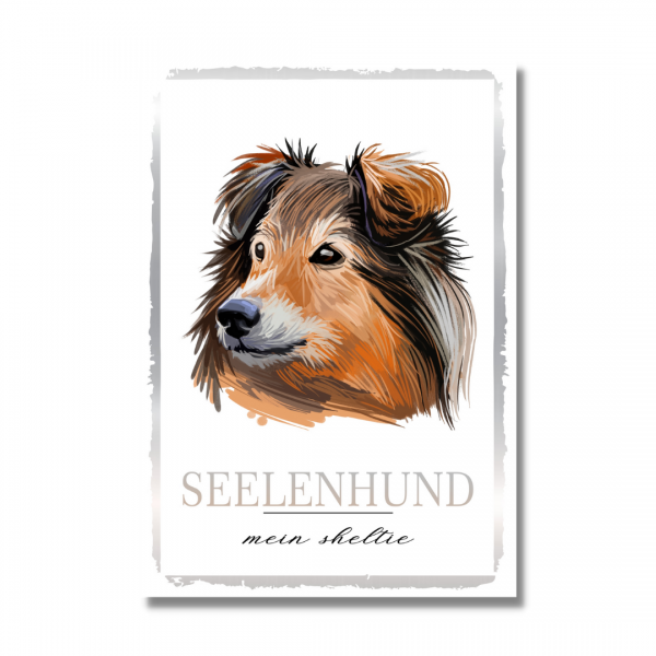 SeeleW_Sheltie1